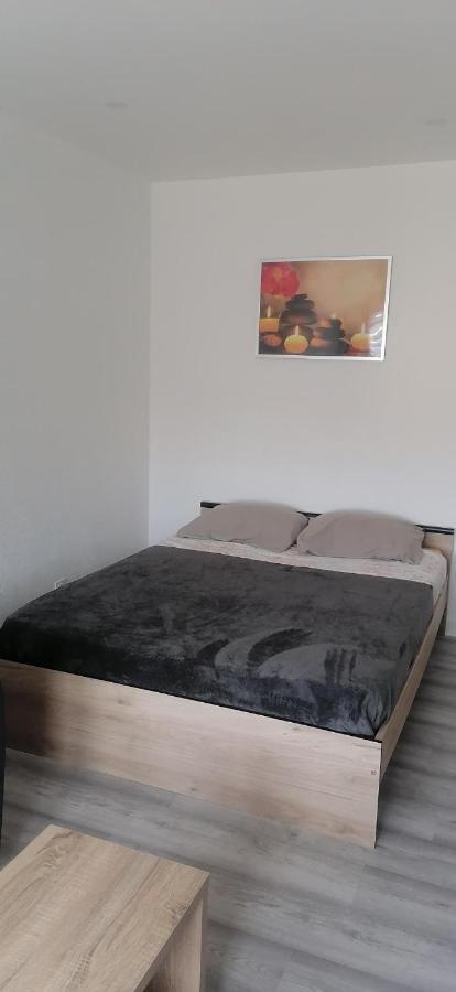 Appartement Avec Balcon Et Parking Prive Roanne Buitenkant foto